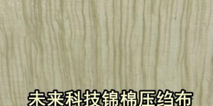 What does future technology nylon and cotton crepe fabric look like (what kind of clothes are suitable for future technology nylon and cotton crepe fabric)