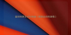 Basketball style boys’ short-sleeved shirts (releasing the passion for sports) composite fabric information