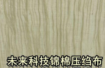 What does future technology nylon and cotton crepe fabric look like (what kind of clothes are suitable for future technology nylon and cotton crepe fabric)