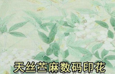 What is ramie fabric (what fashion items can ramie fabric be used to make)